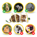 Tunnel compact interactif pour chats