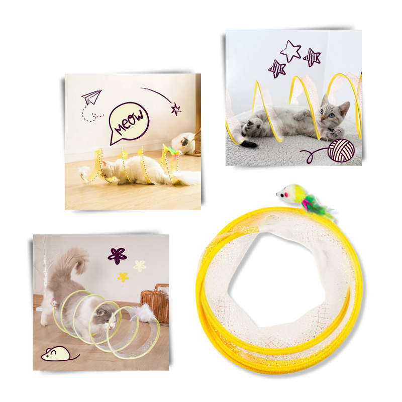 Tunnel compact interactif pour chats