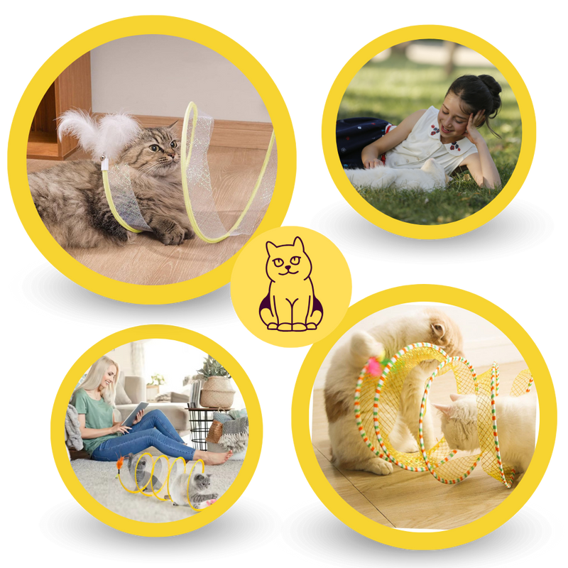 Tunnel compact interactif pour chats