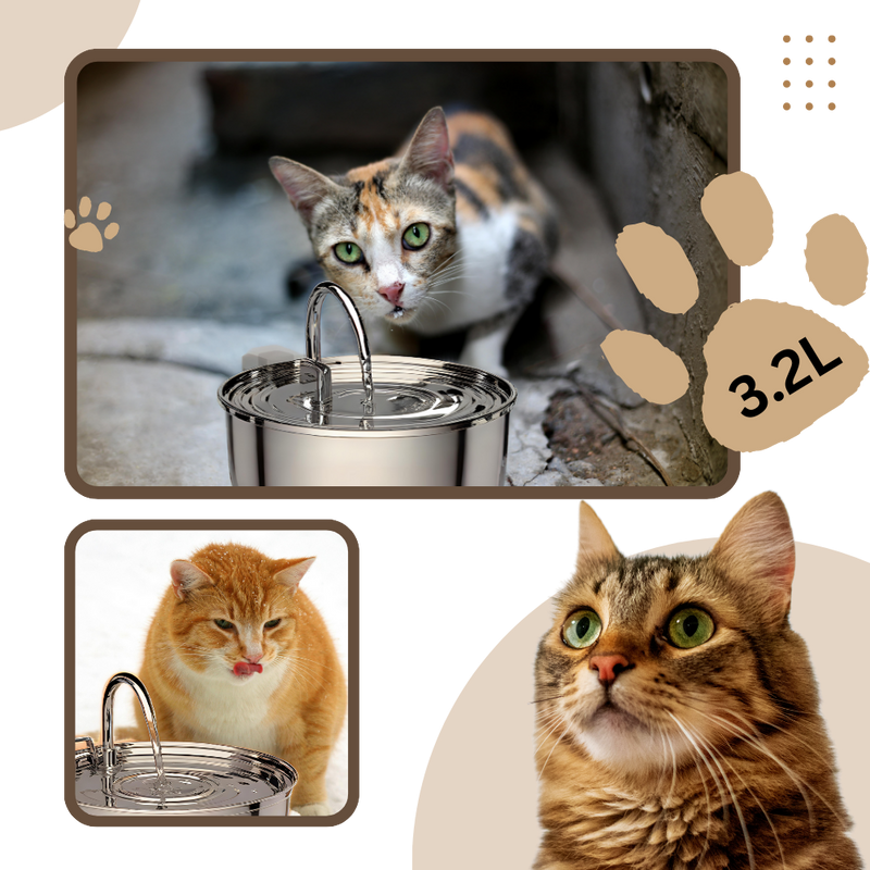 Fontaine pour chats à grande capacité