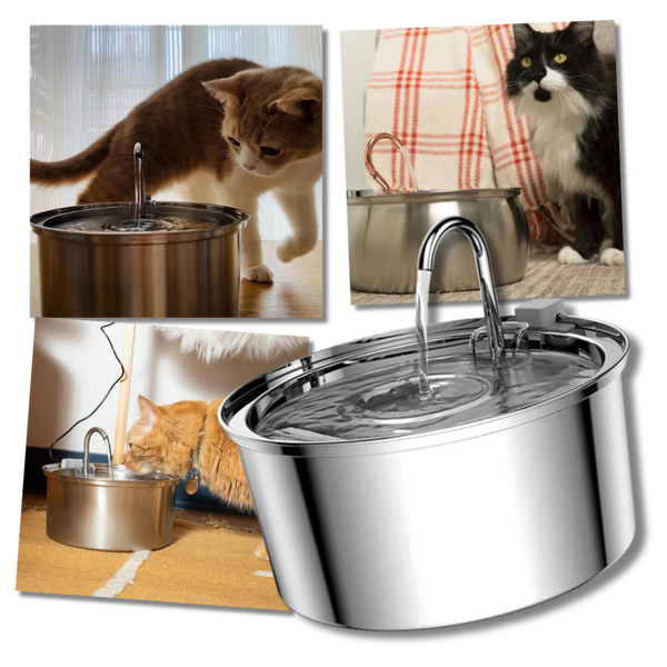 Fontaine pour chats à grande capacité