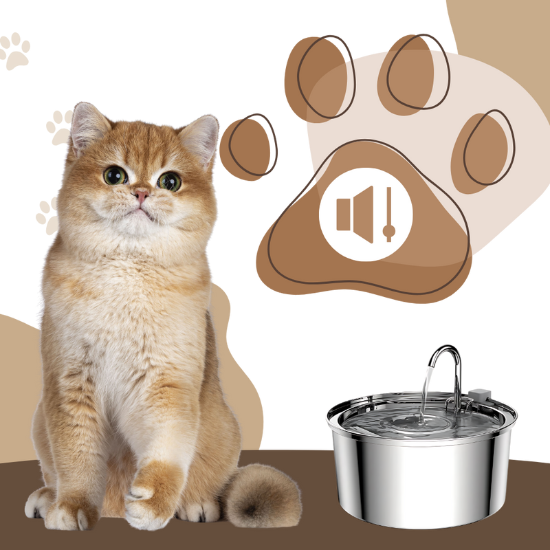 Fontaine pour chats à grande capacité