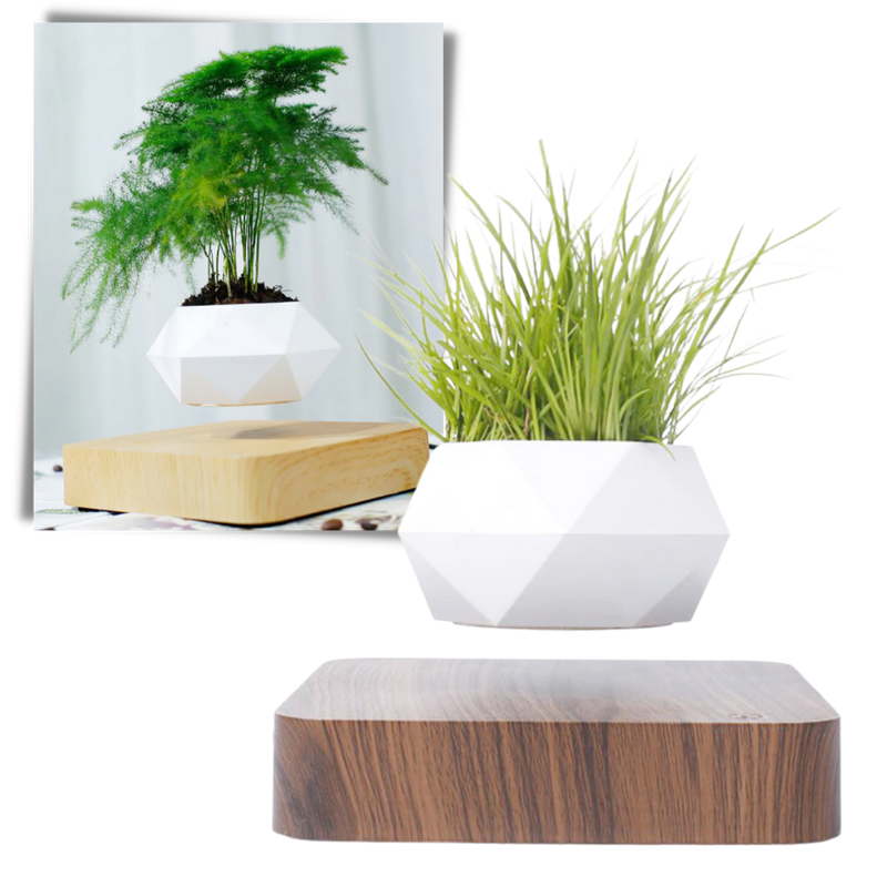 Pot à plante flottant en lévitation