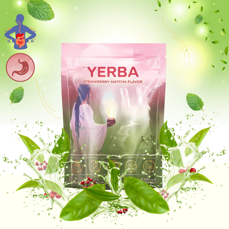 Thé Matcha Maté en poudre