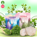 Thé Matcha Maté en poudre