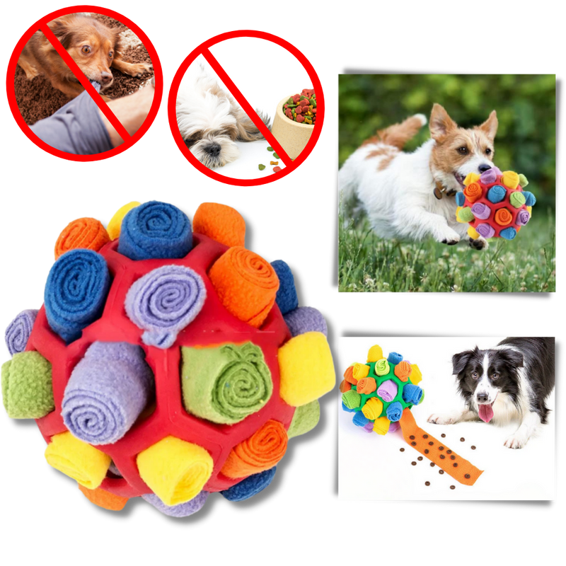 Balle à priser et de stimulation mental pour chiens