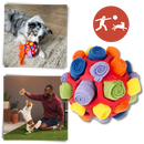 Balle à priser et de stimulation mental pour chiens