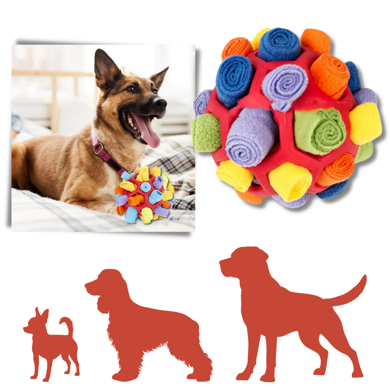 Balle à priser et de stimulation mental pour chiens