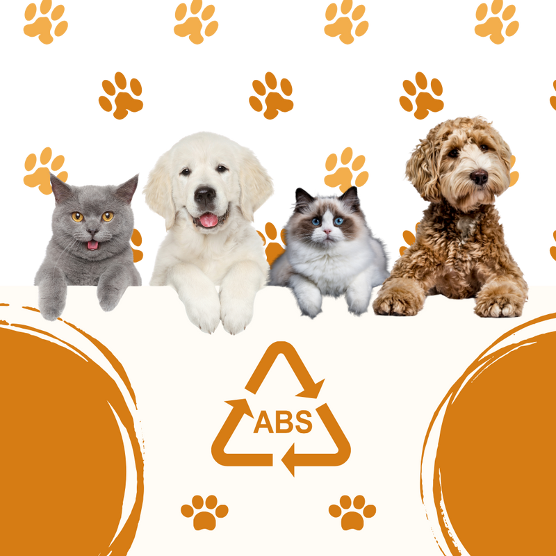 Brosse de toilettage multifonctions pour chats