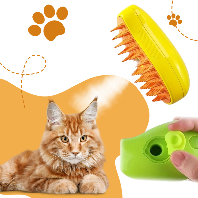 Brosse de toilettage multifonctions pour chats