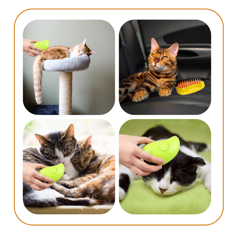 Brosse de toilettage multifonctions pour chats