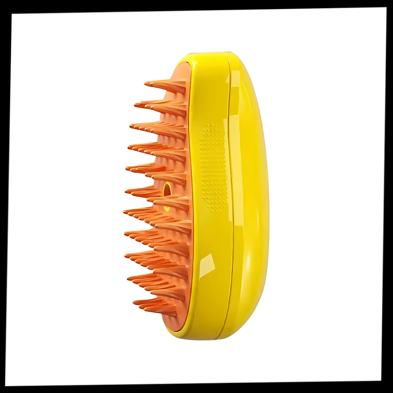 Brosse de toilettage multifonctions pour chats