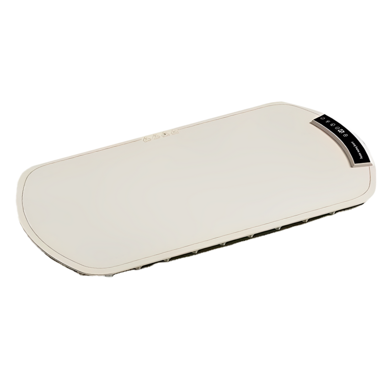 Plateau chauffant électrique multifonctionnel