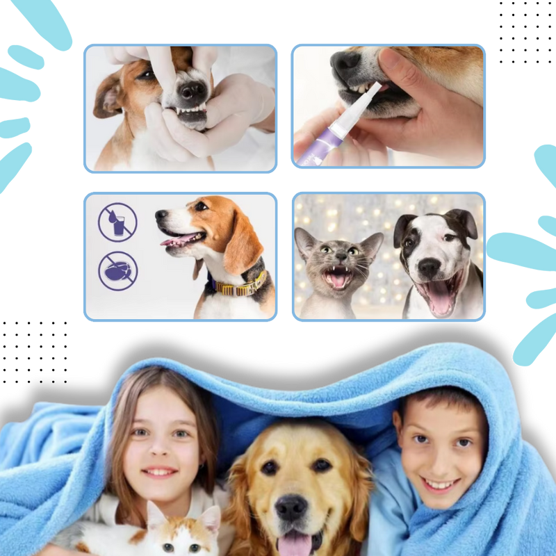 Gel de réparation buccale naturel pour animaux