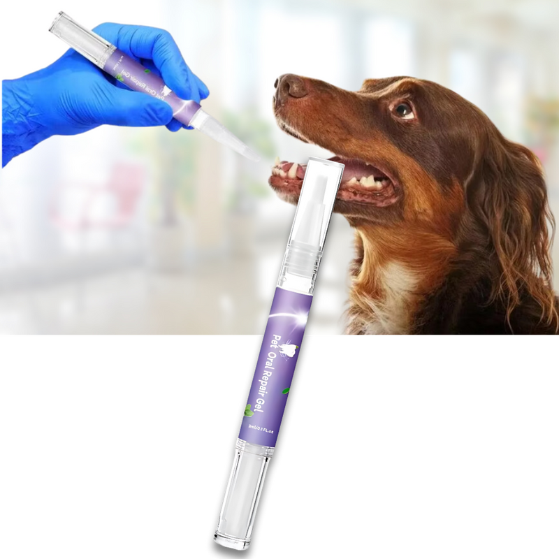 Gel de réparation buccale naturel pour animaux