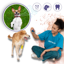 Gel de réparation buccale naturel pour animaux