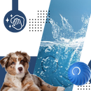 Balle pour chien avec évitement d'obstacles