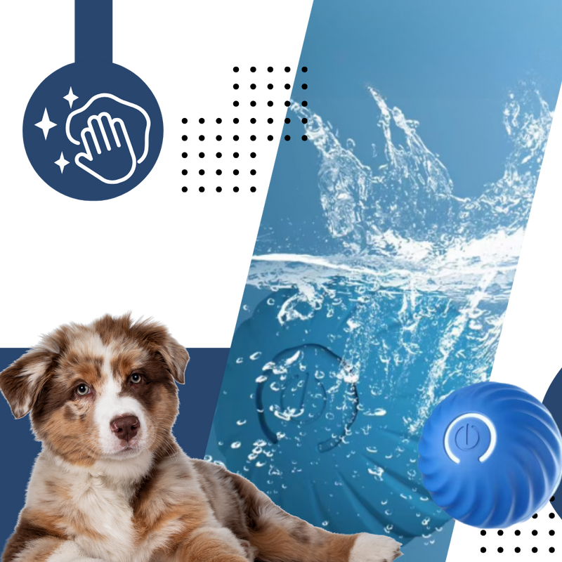 Balle pour chien avec évitement d'obstacles