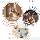 Balle pour chien avec évitement d'obstacles