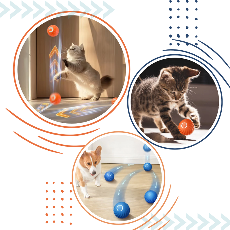 Balle pour chien avec évitement d'obstacles