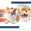 Balle pour chien avec évitement d'obstacles