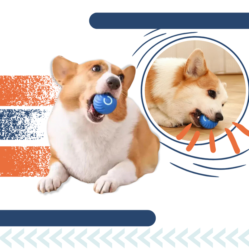 Balle pour chien avec évitement d'obstacles