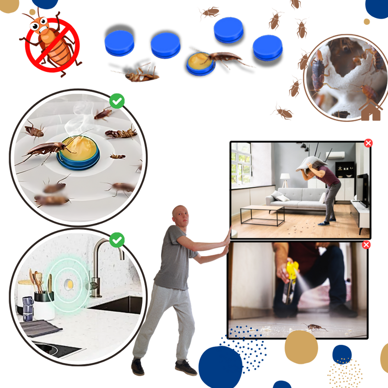 Pièges à blattes sans odeurs