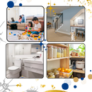 Pièges à blattes sans odeurs