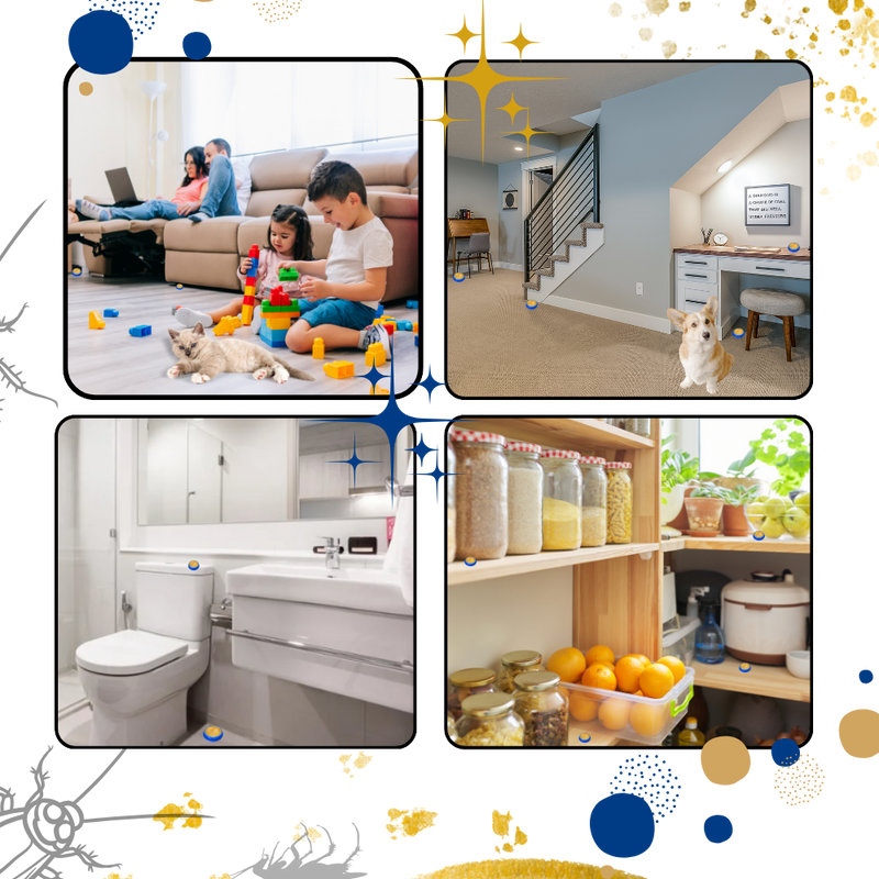 Pièges à blattes sans odeurs