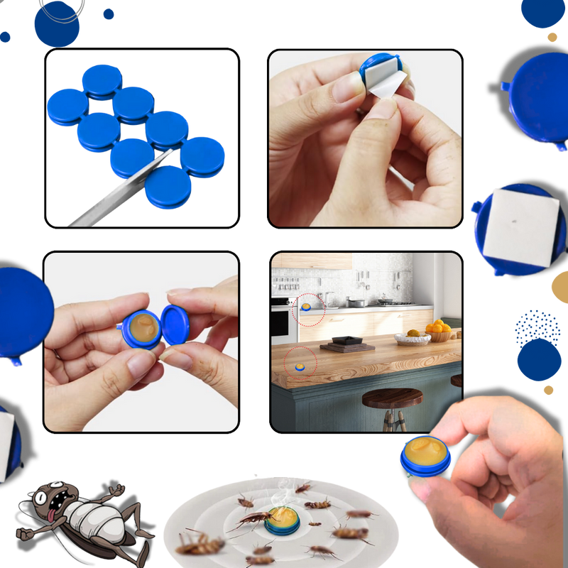 Pièges à blattes sans odeurs