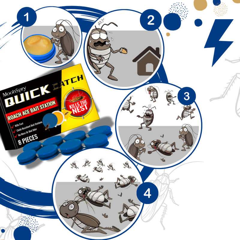 Pièges à blattes sans odeurs