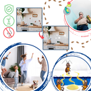 Pièges à blattes sans odeurs