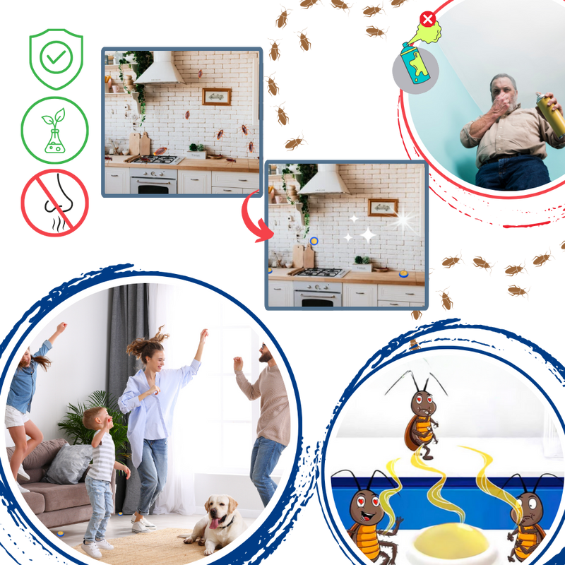 Pièges à blattes sans odeurs