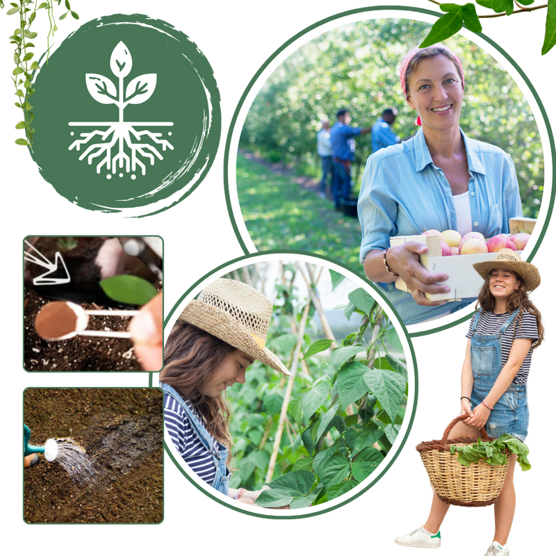 Activateur de sol à nutriments bio