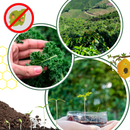 Activateur de sol à nutriments bio