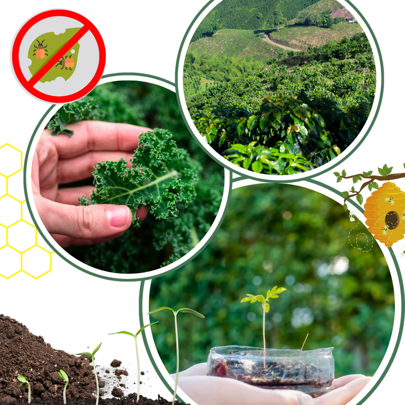 Activateur de sol à nutriments bio