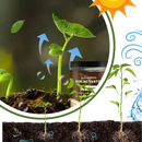 Activateur de sol à nutriments bio