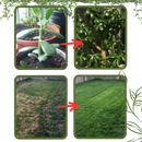 Activateur de sol à nutriments bio