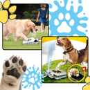 Fontaine à eau pour chien à activation par la patte