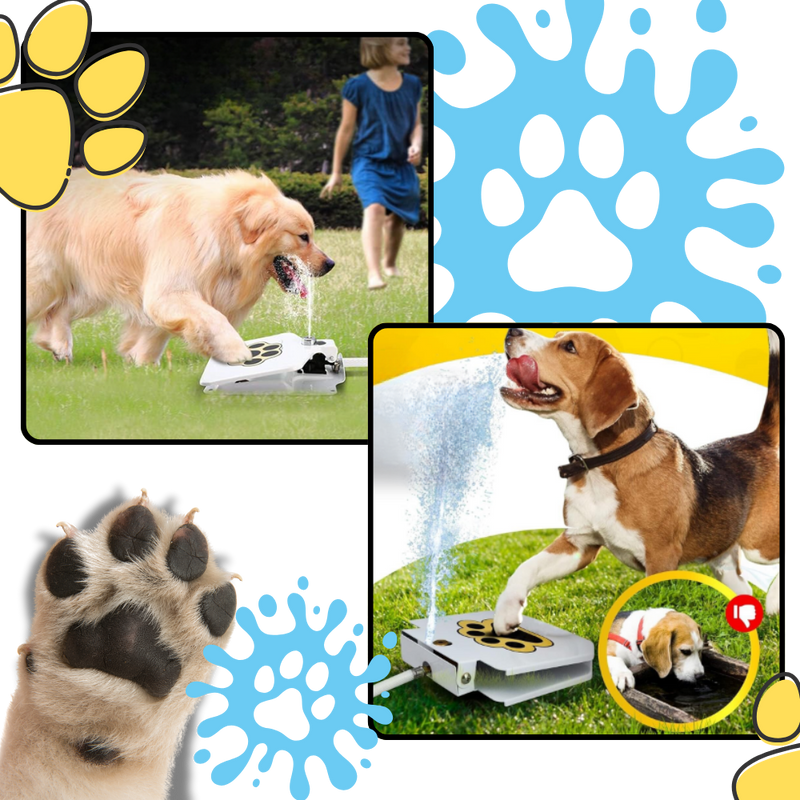 Fontaine à eau pour chien à activation par la patte