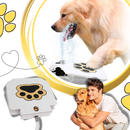 Fontaine à eau pour chien à activation par la patte