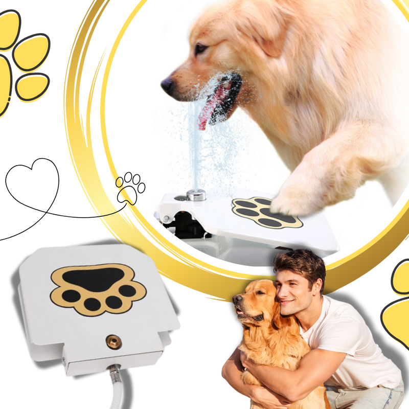 Fontaine à eau pour chien à activation par la patte