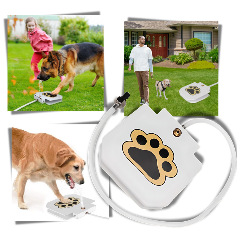 Fontaine à eau pour chien à activation par la patte
