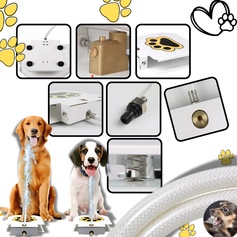 Fontaine à eau pour chien à activation par la patte