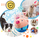 Jouet interactif pour chien