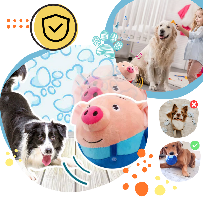 Jouet interactif pour chien