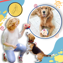 Jouet interactif pour chien