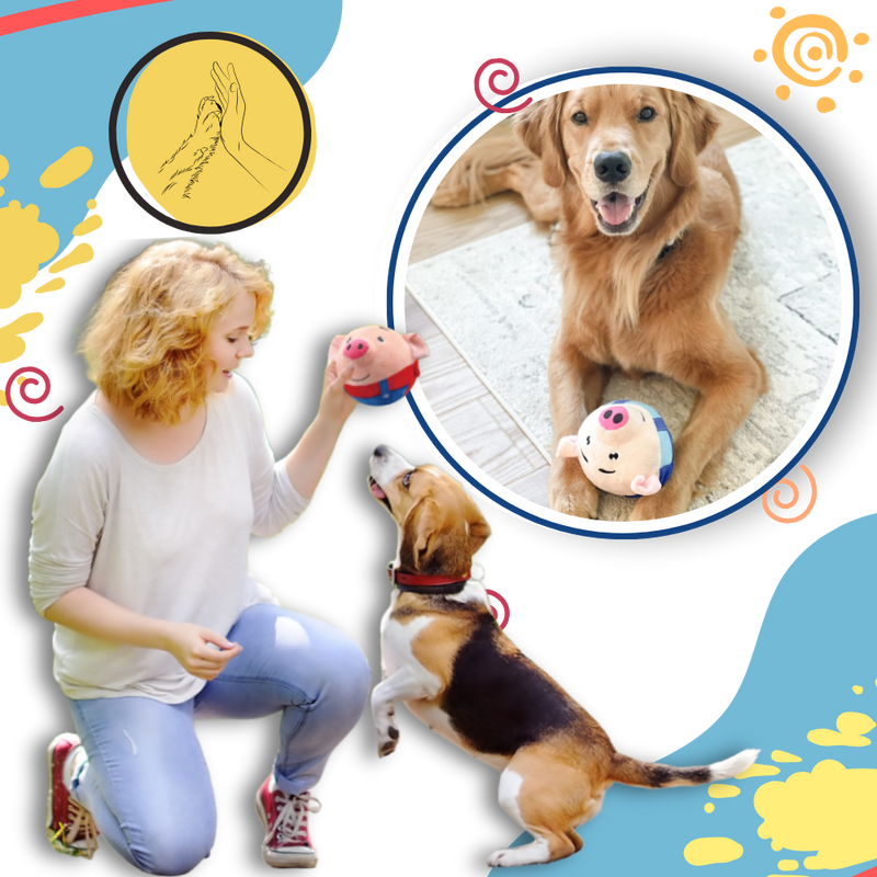 Jouet interactif pour chien