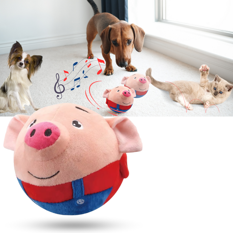 Jouet interactif pour chien