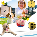 Jouet interactif pour chien